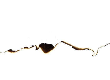 burned paper on a white backgroundの写真素材