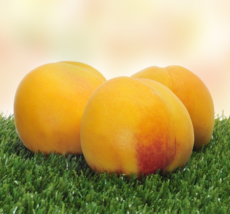 a pile of peaches on the grassの写真素材