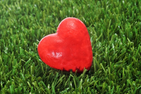 closeup of a red heart on the grassの写真素材