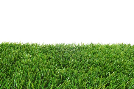 closeup of grass on a white backgroundの写真素材
