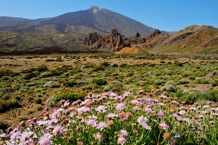 A view of volcano Mount Teide, in Teide National Park, in Tenerife, the highest elevation in Spainの写真素材
