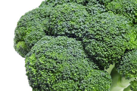 closeup of a bunch of broccoli on a white background