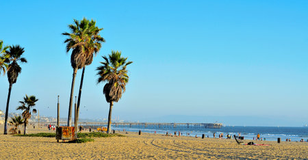 Venice, US - October 17, 2011: View of Venice Beach with its Pier in the background in Venice, US. Dozen of movies are filmed in the Venice Pier, a 1,310-foot (400 m) concrete structureのeditorial素材