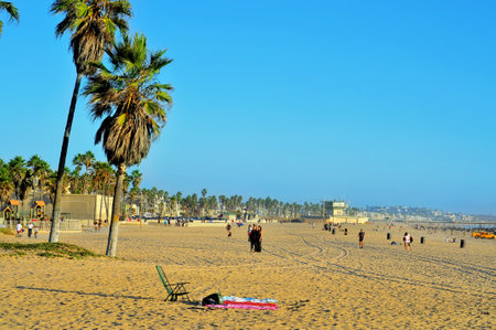 Venicee, USA - October 17, 2011: View of Venice Beach with its Pier in the background in Venice, US. Dozen of movies are filmed in the Venice Pier, a 1,310-foot (400 m) concrete structureのeditorial素材