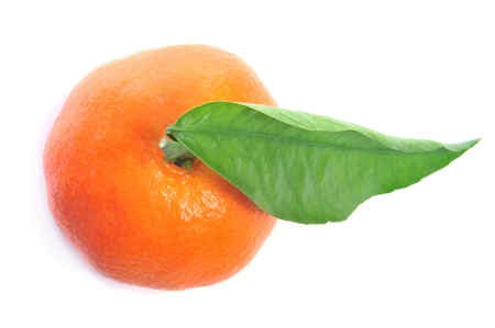 closeup of a tangerine on a white backgroundの写真素材
