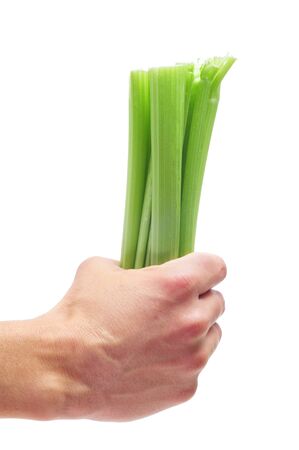 someone holding a bunch of celery ribs on a white backgroundの写真素材