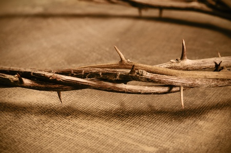 closeup of a representation of the Jesus Christ crown of thornsの写真素材