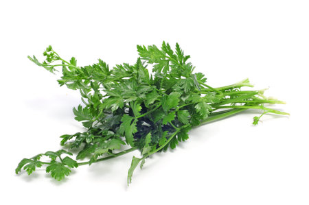 a bunch of parsley on a white background