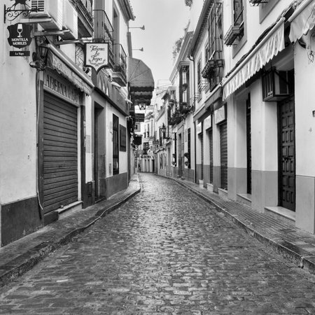 Cordoba, Spain - May 16, 2012: View of Deanes Street, in La Juderia district, in Cordoba, Spain. La Juderia is the most tourist district in the city, full of souvenir shops and restaurantsのeditorial素材