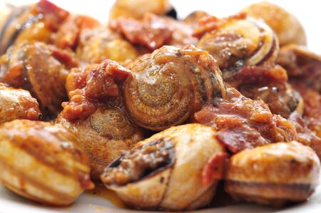 closeup of a dish of spanish cooked snails in sauceの写真素材