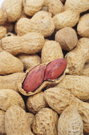 closeup of a pile of peanuts in its shells