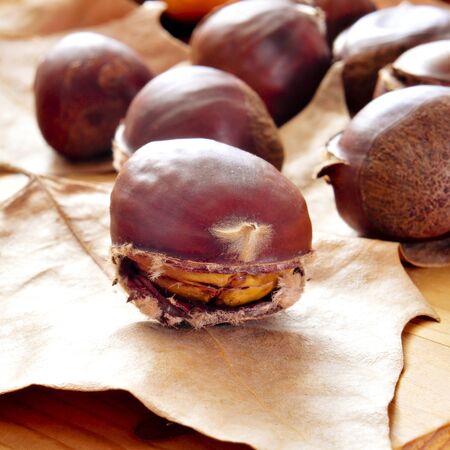 some roasted chestnuts, typical snack in All Saints Day in Spain, on a fall background with dried leavesの写真素材
