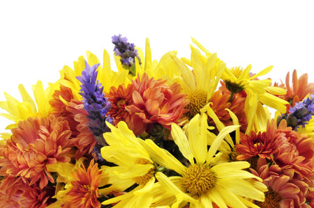 closeup of a flower arrangement with different flowers, such as gerbera daisies and lavender