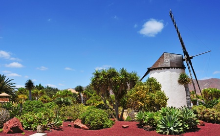 old windmill in Antigua, Fuerteventura, Canary Islands, Spainの写真素材