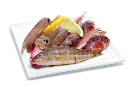 closeup of a plate with raw fishes on a white background
