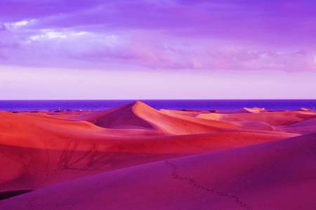 a view of the Natural Reserve of Dunes of Maspalomas, in Gran Canaria, Canary Islands, Spainの写真素材