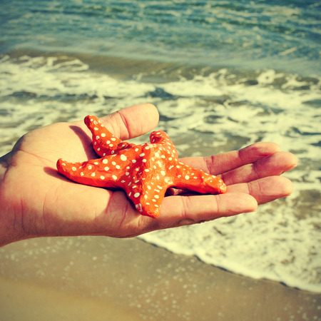 picture of someone holding a papier-mache starfish with the ocean in the background, with a retro effectの写真素材