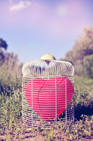 a heart-shaped balloon in a birdcage in the field, with a retro filter effectの写真素材