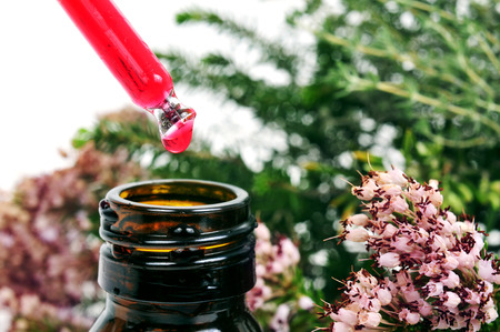 closeup of a dropper with flower essence and a plant of rosemaryの写真素材