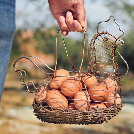 closeup of the hand of a young caucasian man carrying a hen-shaped rusty metallic basket full of brown eggs just collected from the henhouseの写真素材