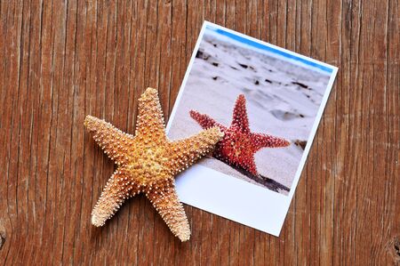 high-angle shot of a starfish and an instant photo of a starfish on the sand of a beach, placed on a rustic wooden surfaceの写真素材