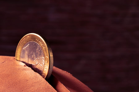 closeup of a coin of one euro in the hole of an earthenware piggy bank
