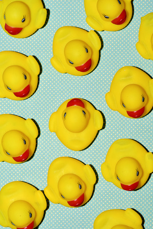 a pile of rubber ducks, one of them countercurrent, on a dot-patterned background, with a hard-shadow processingの写真素材