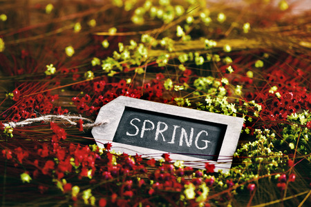 the word spring written in a label-shaped blackboard surrounded by many red and yellow small flowersの写真素材