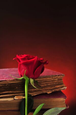 closeup of a natural red rose and some old books, against a faded red backgroundの写真素材