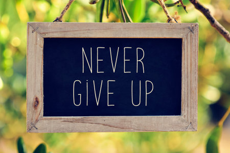 closeup of a wooden-framed chalkboard with the text never give up hanging on the branch of a tree