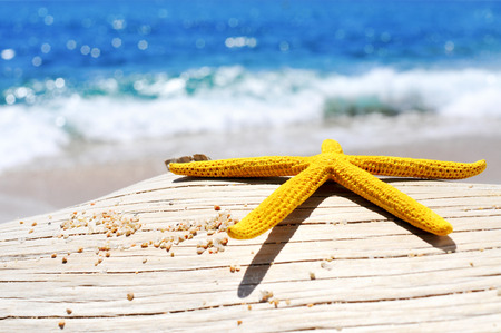closeup of a yellow starfish and some grains of sand on an old washed-out tree trunk on the beach, with a bright blue sea in the backgroundの写真素材