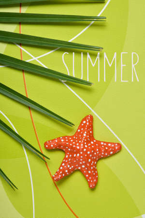 high-angle shot of a palm tree leaf, a colorful papier-mache starfish and the text summer on a green patterned backgroundの写真素材