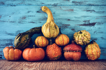 an assortment of different pumpkins on a rustic wooden surface, against a blue wooden backgroundの写真素材