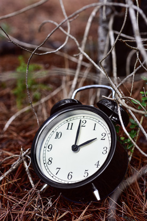 closeup of an alarm clock in the ground of a forest in autumnの写真素材
