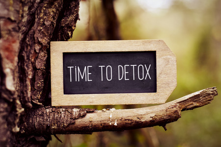 closeup of a label-shaped chalkboard with the text time to detox written in it, placed on the branch of a pine treeの写真素材