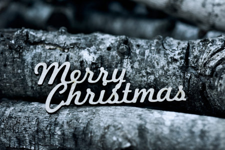 the text merry christmas on a pile of logs