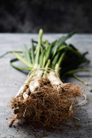 closeup of a bunch of raw calcots, sweet onions typical of Catalonia, Spain, on a rustic wooden tableの写真素材