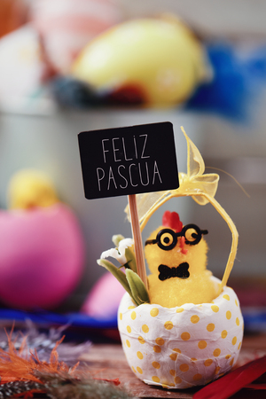 chick emerging from a cracked egg patterned with yellow dots holds a signboard with the text feliz pascua, happy easter in spanish, and a pile of decorated easter eggs and feathers of different colorsの写真素材