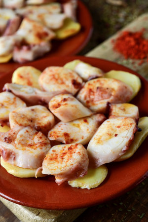 closeup of an earthenware plate with pulpo a la gallega, a recipe of octopus typical in Spain served on potatoes and seasoned with paprikaの写真素材