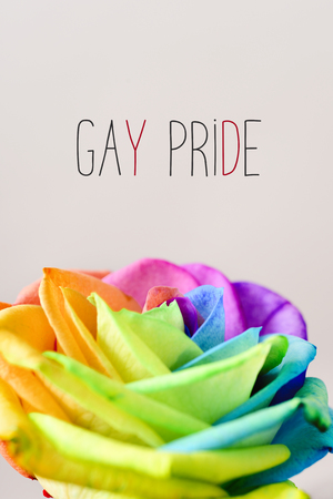 closeup of a rose with its petals with the colors of the rainbow flag and the text gay pride on an off-white backgroundの写真素材