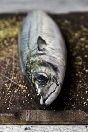 closeup of a raw fresh mackerel on a dark wooden chopping board placed on a rustic wooden tableの写真素材