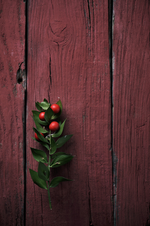 closeup of a twig of christmas holly on a red rustic wooden surface with a blank space on topの写真素材