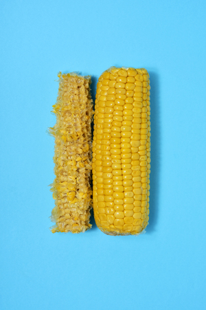 high angle view of a corn on the cob and the remains of another corn on the cob on a blue background, with some blank space around themの写真素材