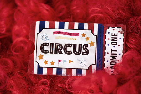 a simulated circus admission ticket made by myself, on a clowns curly red hair wig