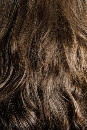 Closeup of a natural long brown hair wig or the mane of a brunette person seen from behindの写真素材