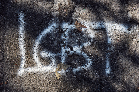 the text LGBT written with a spray of white paint on the asphalt, under the shadow of the trees