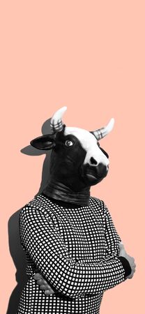 A young man wearing a cow mask in black and white on a pinkの写真素材