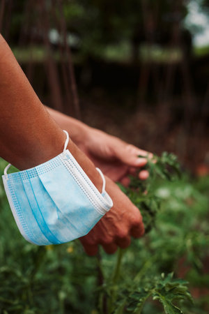 closeup of a young farmer man in an organic orchard wearing his surgical mask in his wrist as he is...