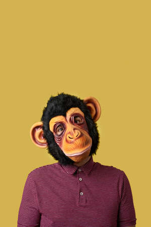 man wearing a monkey mask on a yellow background with some blank space on topの写真素材
