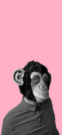 man wearing a monkey mask, in black and white, on a pink background with some blank space on top, in a vertical format to use for mobile stories or as smartphone wallpaperの写真素材